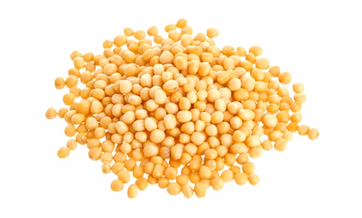 Горчица белая