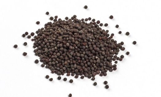 Горчица чёрная