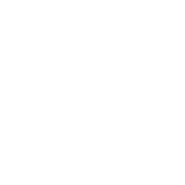 Профессионализм